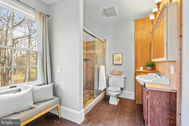 bathroom with vanity, toilet, and walk in shower