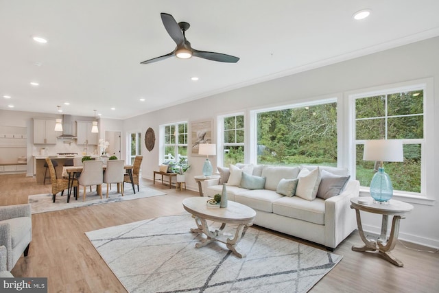 living room with light hardwood / wood-style flooring, ceiling fan, and crown molding