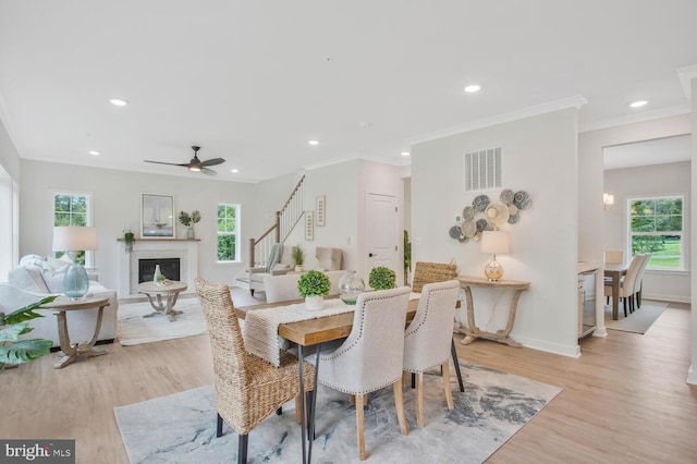 dining space featuring ceiling fan, a healthy amount of sunlight, and light hardwood / wood-style floors