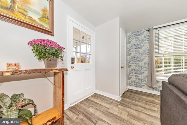 foyer entrance featuring hardwood / wood-style floors