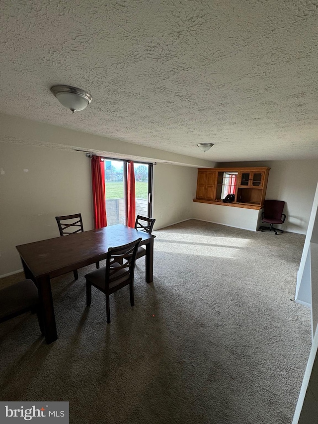 unfurnished dining area with carpet flooring and a textured ceiling