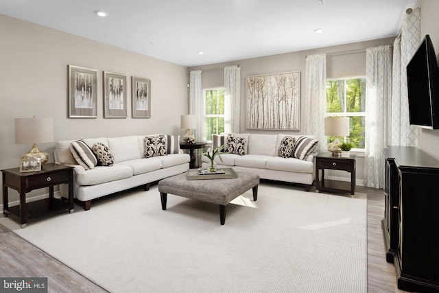 living room with light hardwood / wood-style flooring