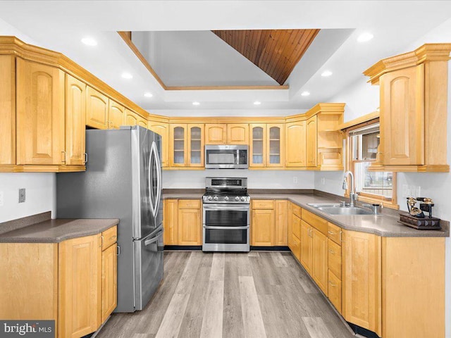 kitchen with sink, light brown cabinets, a tray ceiling, appliances with stainless steel finishes, and light wood-type flooring