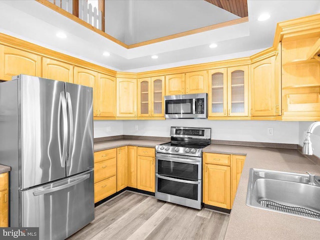 kitchen with light brown cabinets, a raised ceiling, sink, light hardwood / wood-style flooring, and stainless steel appliances