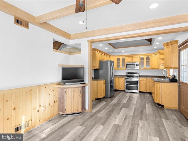 kitchen with stainless steel appliances, a tray ceiling, light hardwood / wood-style floors, and sink