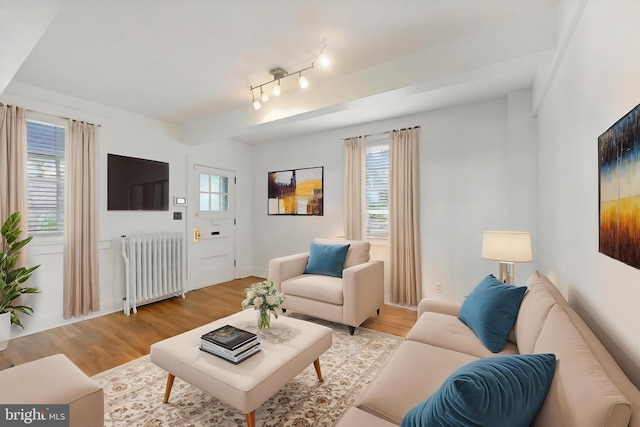 220 Stony Run Ln Unit Dg, Baltimore, MD 21210 - living room featuring radiator, light wood-style floors, and baseboards