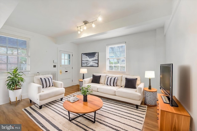 living room featuring light hardwood / wood-style flooring