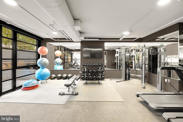 gym featuring carpet floors