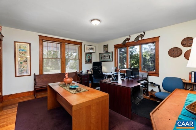 home office featuring hardwood / wood-style flooring