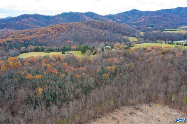 view of mountain feature