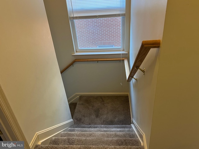 stairs featuring carpet