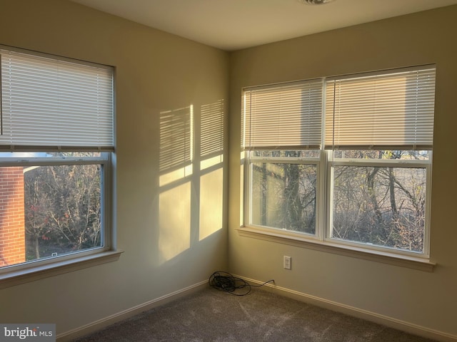 unfurnished room with carpet and a wealth of natural light