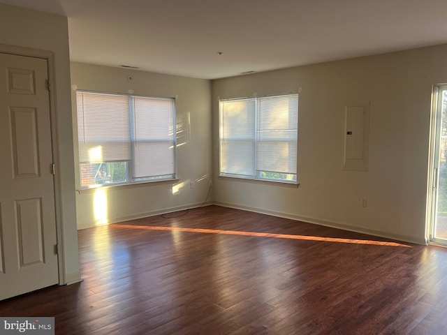 unfurnished room featuring electric panel and dark wood-type flooring