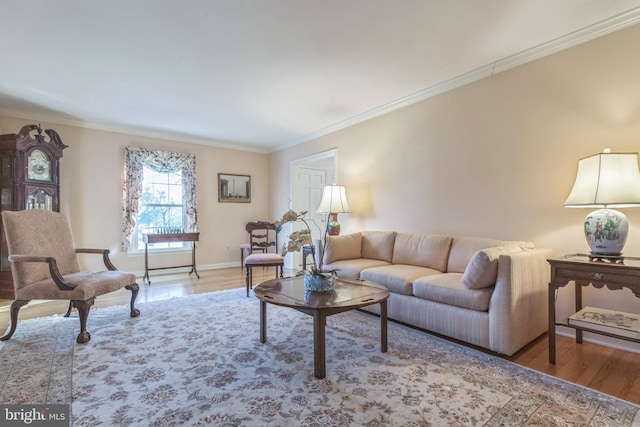 living room with crown molding and light hardwood / wood-style flooring