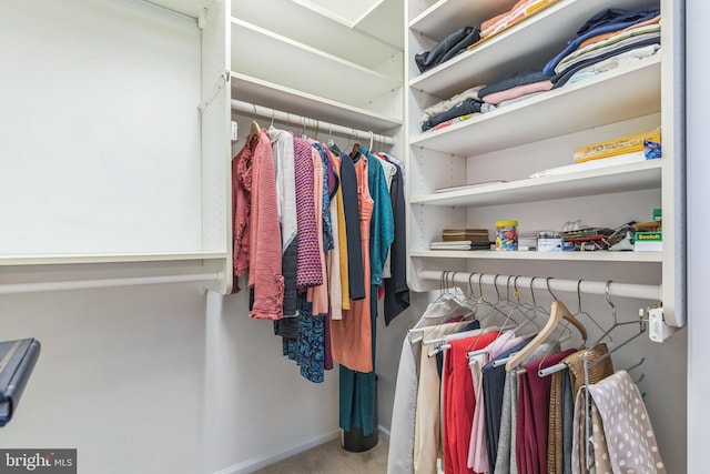 spacious closet with carpet flooring