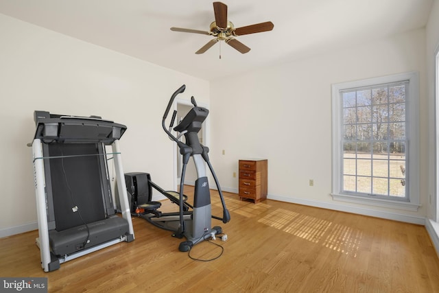 workout area with hardwood / wood-style floors and ceiling fan