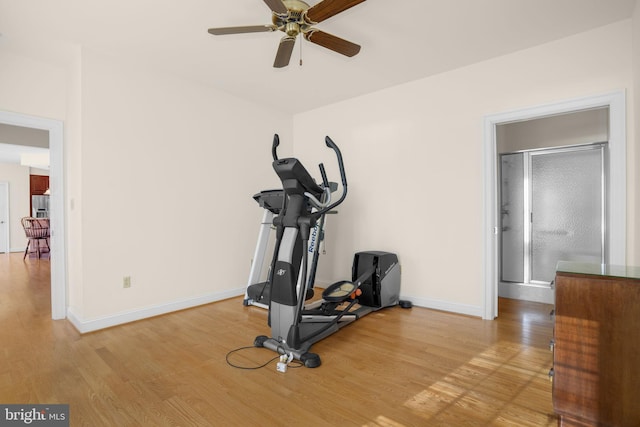 workout room featuring ceiling fan and light hardwood / wood-style floors