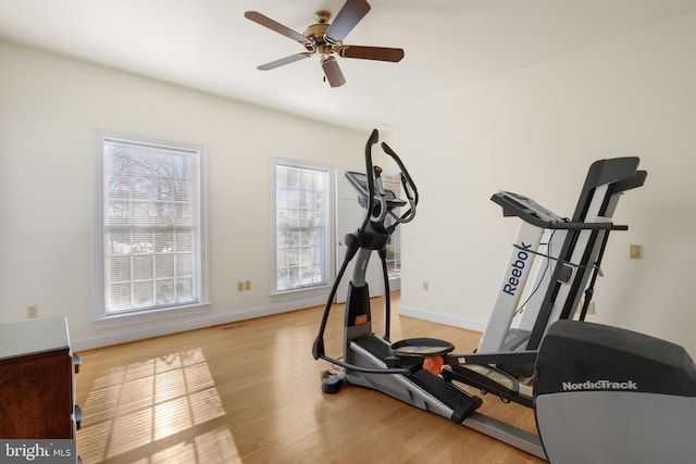 exercise area featuring light hardwood / wood-style floors and ceiling fan