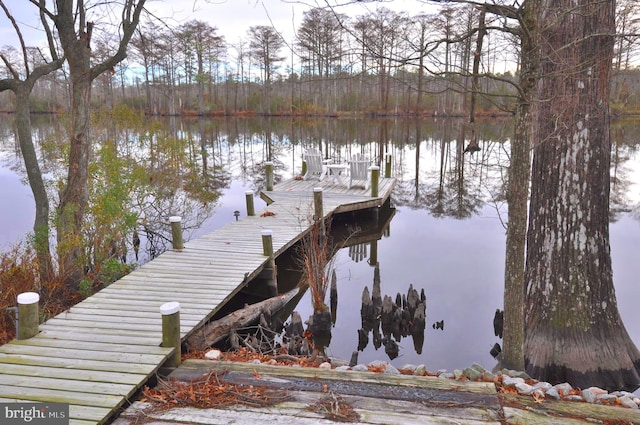 dock area with a water view