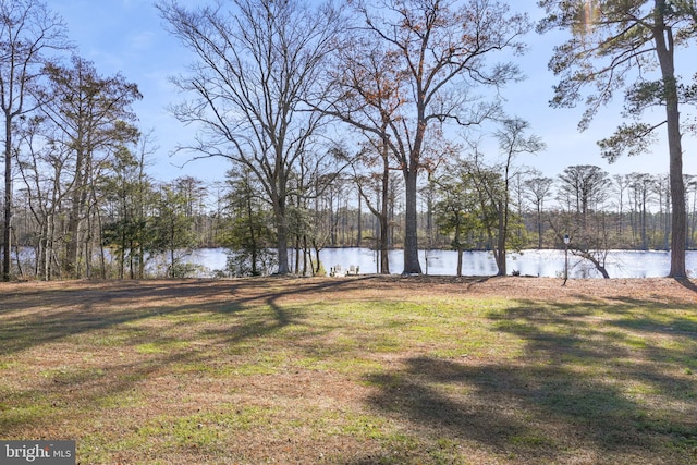 view of yard featuring a water view