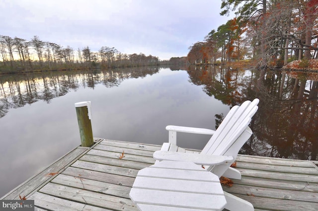 view of dock with a water view