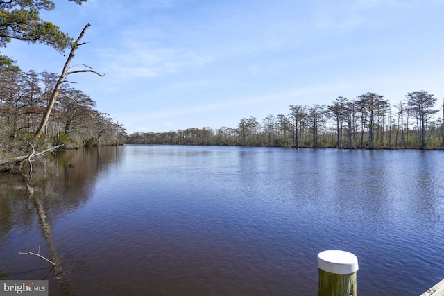 property view of water