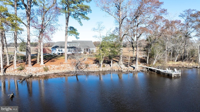 view of water feature with a boat dock