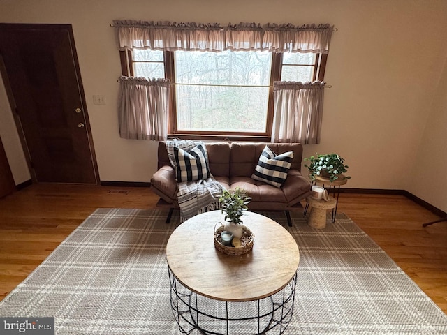 living room with hardwood / wood-style flooring and a healthy amount of sunlight