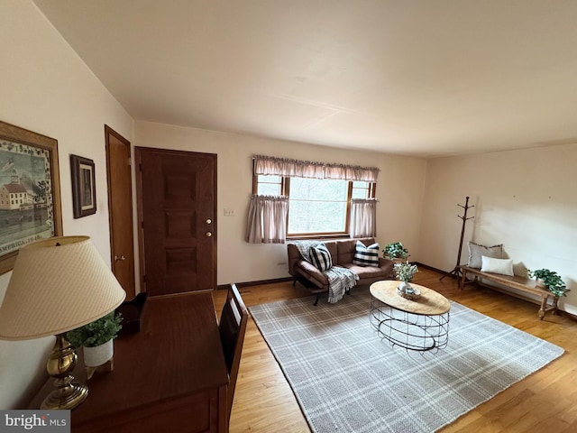 living room with light hardwood / wood-style floors