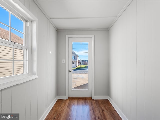 entryway with wooden walls, plenty of natural light, and wood-type flooring