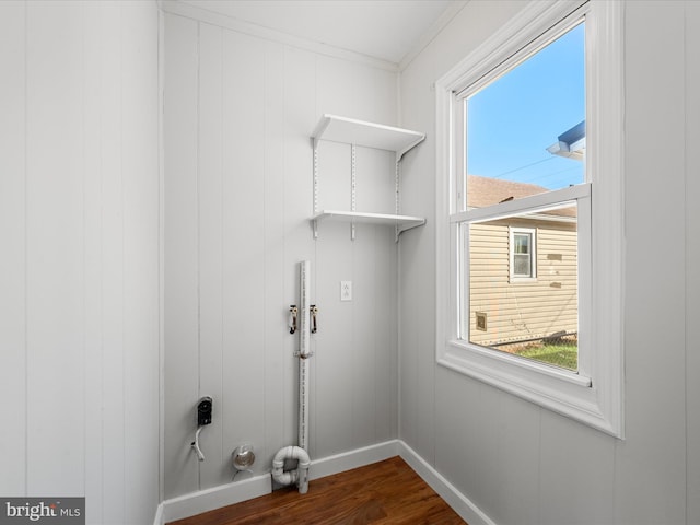 laundry area with wooden walls, dark hardwood / wood-style flooring, and ornamental molding