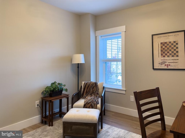 sitting room with light wood-type flooring