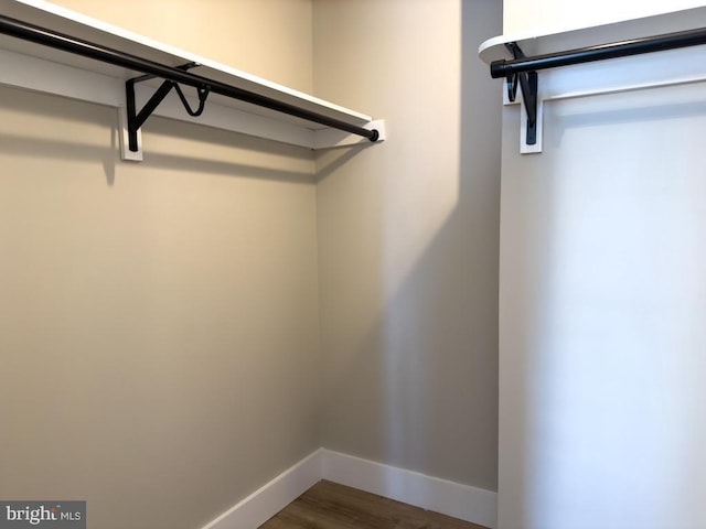 walk in closet with dark wood-type flooring