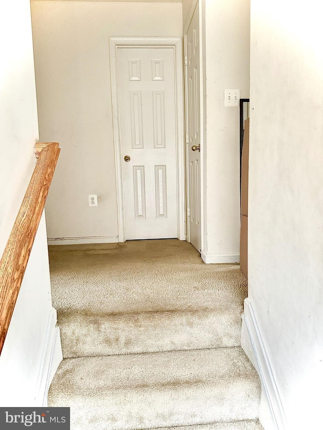 stairs featuring carpet flooring