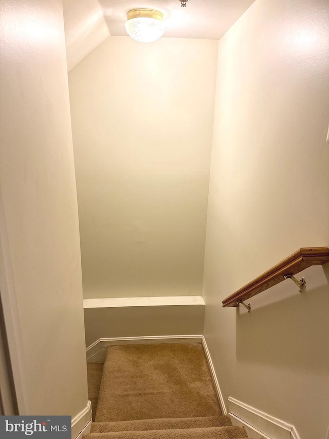 stairs featuring carpet flooring and vaulted ceiling