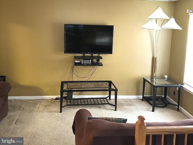 living room featuring carpet flooring