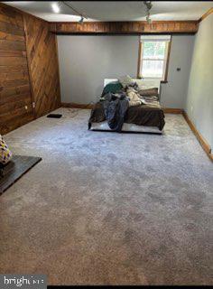 basement with wood walls and light colored carpet