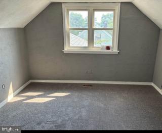 additional living space featuring carpet floors and lofted ceiling