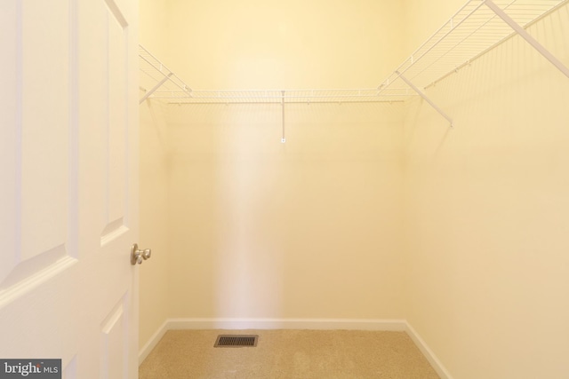 walk in closet featuring carpet floors