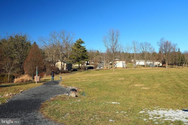 view of property's community featuring a yard