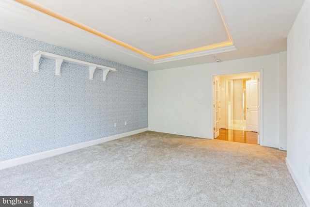 empty room with a tray ceiling and carpet floors