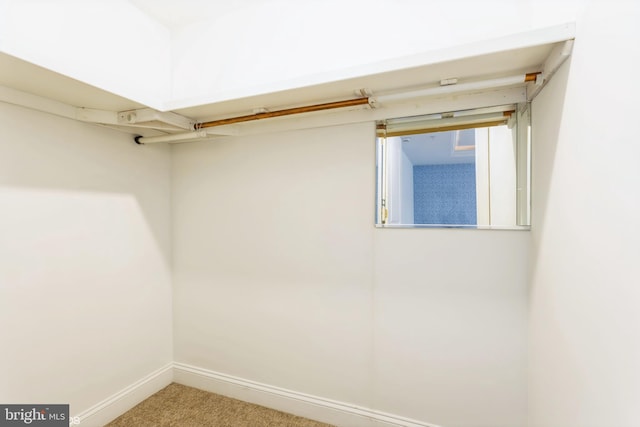 spacious closet featuring carpet