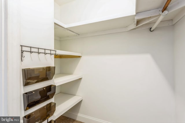 7902 Brynmor Ct Unit 201, Pikesville, MD 21208 - view of spacious closet