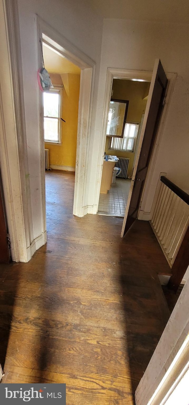 hall featuring radiator heating unit and dark hardwood / wood-style flooring