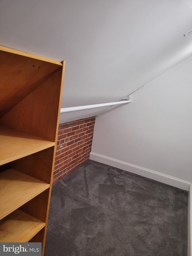 spacious closet with dark carpet