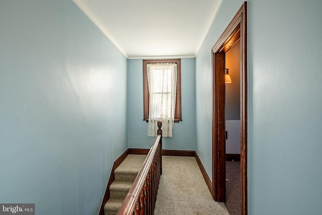 hallway featuring light carpet and ornamental molding