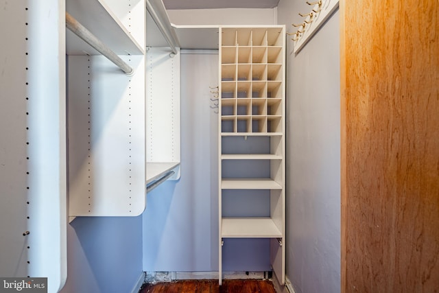 walk in closet featuring dark hardwood / wood-style floors