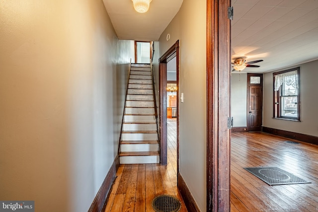 hall featuring hardwood / wood-style floors