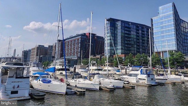 view of dock with a water view