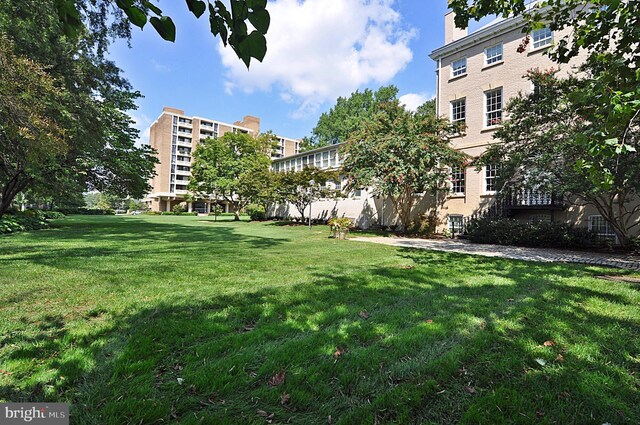 view of community with a yard